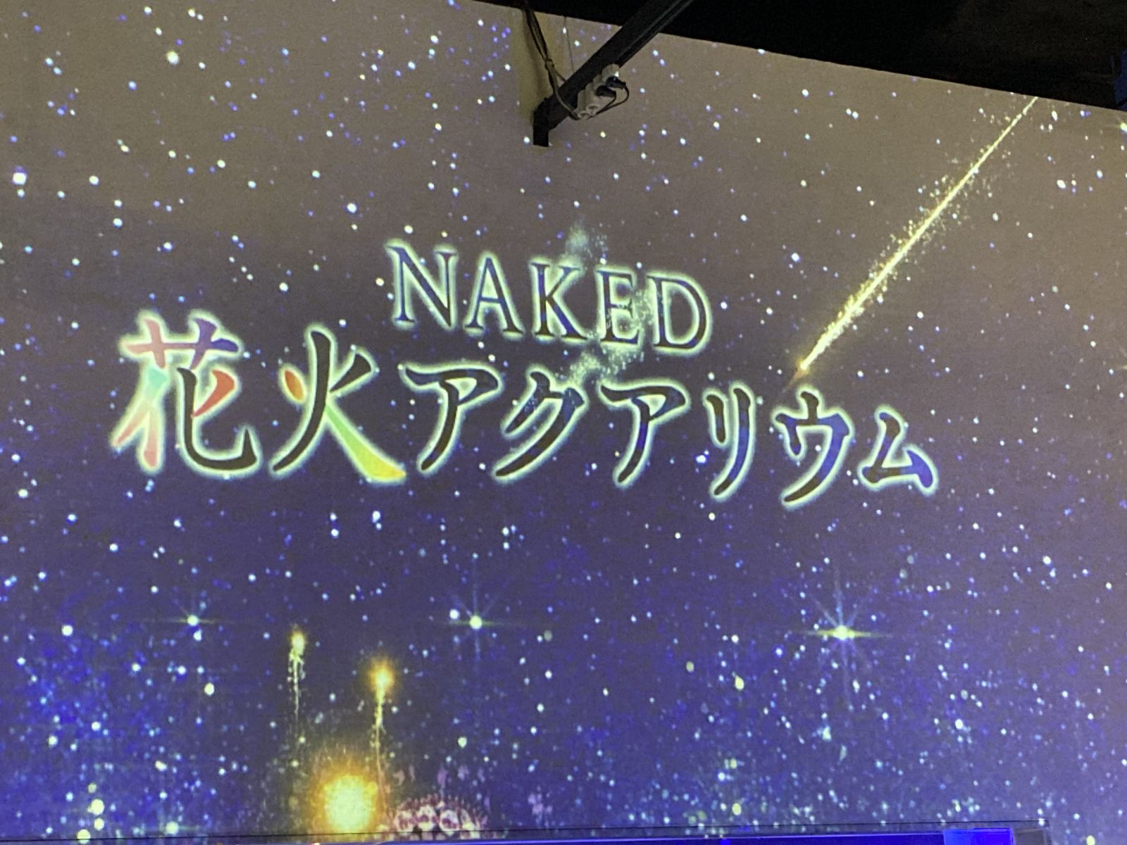 川越店みなみブログ! 大好きなイルカショー♡の画像