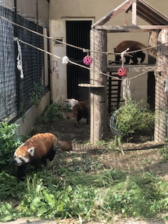 けいブログ！　旭川、富良野の画像